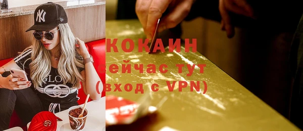 прущие крисы Абаза