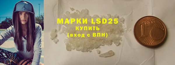 ECSTASY Алзамай