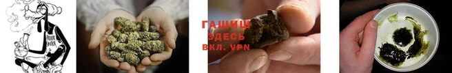 стафф Снежинск