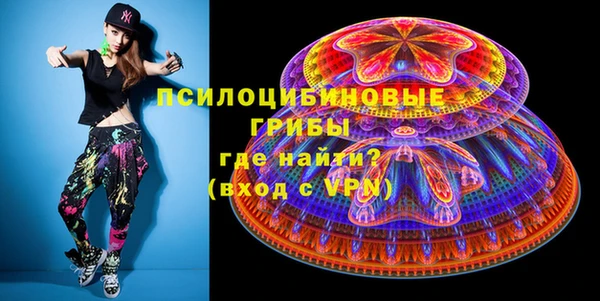 ECSTASY Алзамай