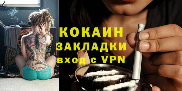 молекула духа Алексин