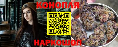 стаф Малгобек