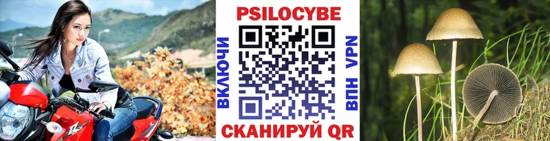 Галлюциногенные грибы GOLDEN TEACHER  Знаменск 