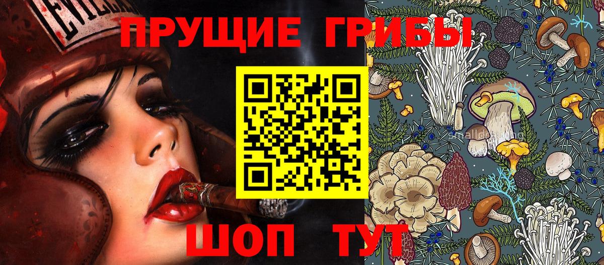 Псилоцибиновые грибы MAGIC MUSHROOMS  Вход с VPN  хочу наркоту  Знаменск 